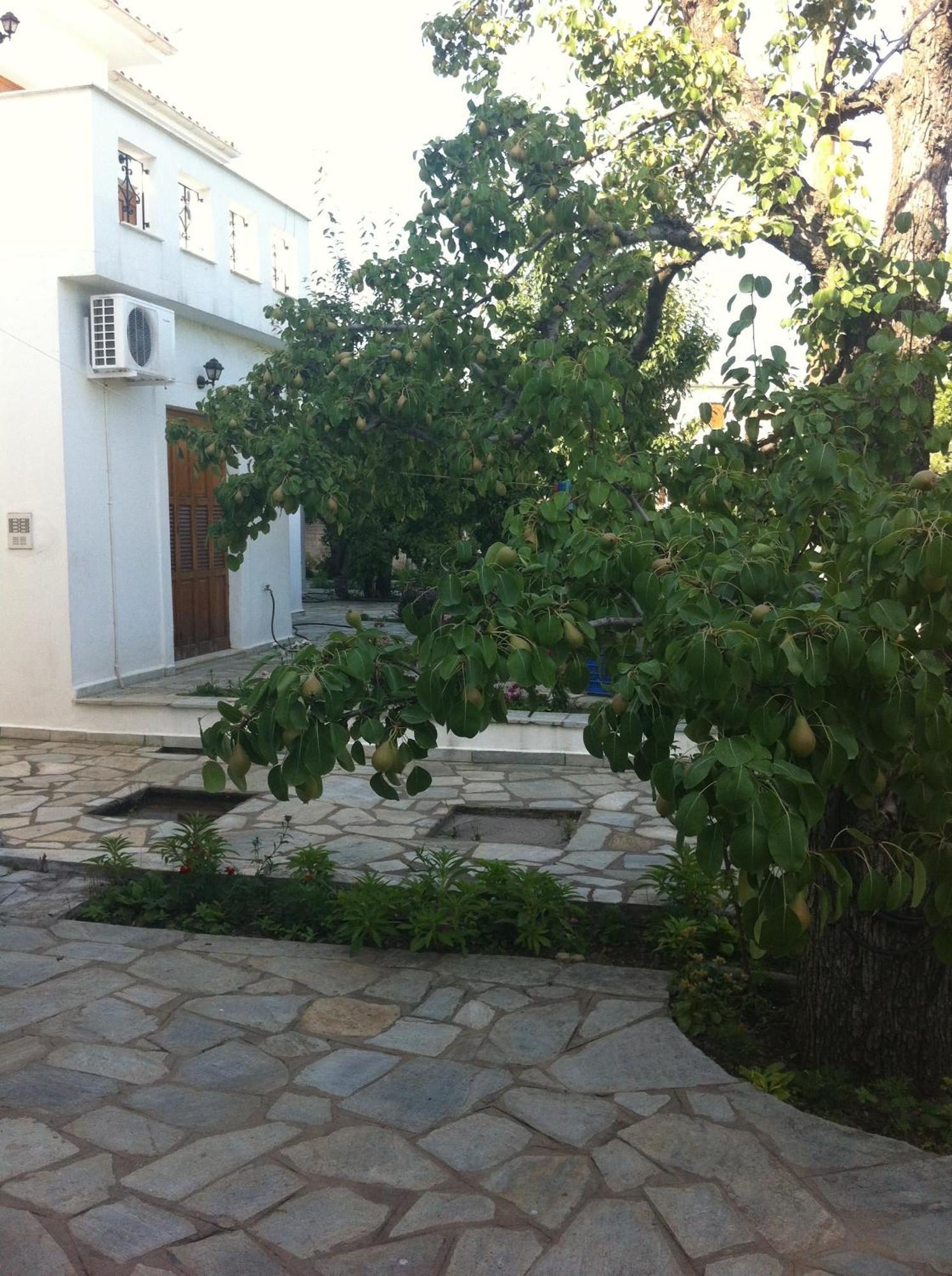 Okeanis Apartments Kala Nera Bagian luar foto